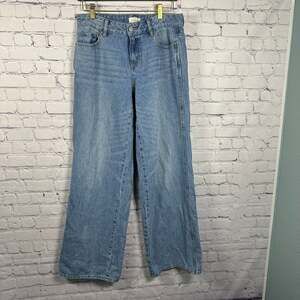 PacSun Casey Low Rise Baggy Jean